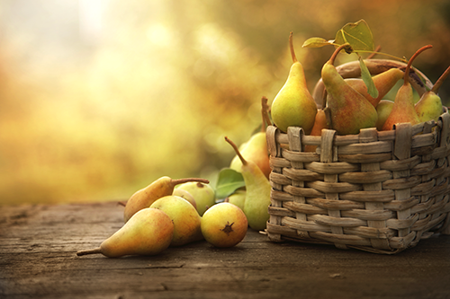 Obstannahme Birnen